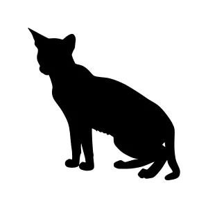 Black Cat Silhouette Vector Graphic