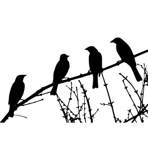 Silhouette Birds on Branch - Minimalist Design
