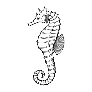 Black and White Seahorse Illustration