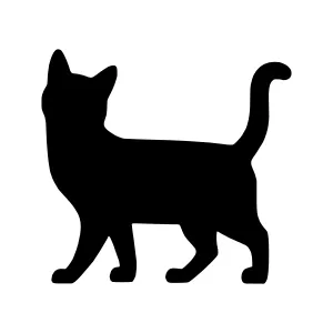 Black Cat Silhouette Vector Illustration