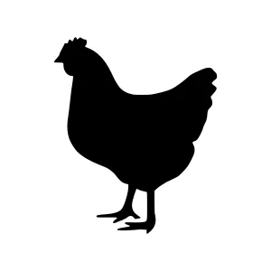 Black Chicken Silhouette Vector Graphic