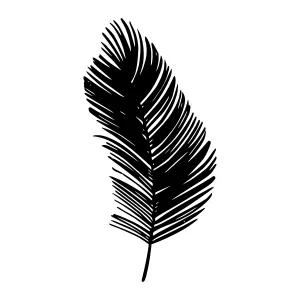 Black Feather Illustration - Minimalist Design