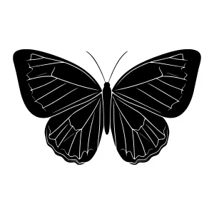 Black Butterfly Silhouette Vector Illustration