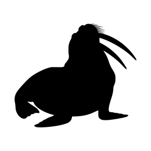 Silhouette Walrus - Minimalist Animal Vector