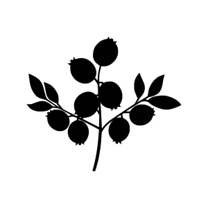 Black Berry Branch Silhouette