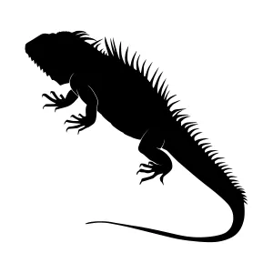 Black Iguana Silhouette Vector Graphic