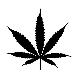 Black Cannabis Leaf Silhouette