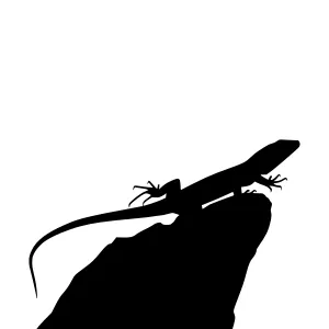 Silhouette Lizard on Rock - Minimalist Vector