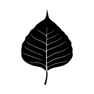 Black Leaf Silhouette on White Background