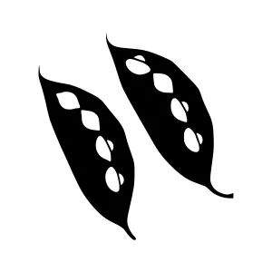 Black Bean Silhouette Vector Illustration