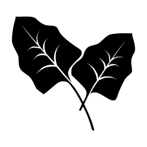 Black Leaf Silhouette Vector Icon