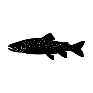 Silhouette Trout Fish Graphic - Black on White