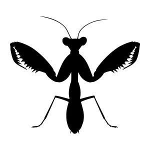 Black Praying Mantis Silhouette Vector