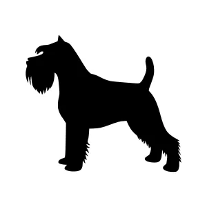 Black Wirehaired Pointer Silhouette