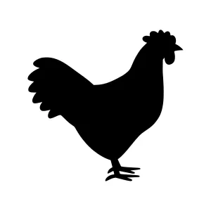 Black Chicken Silhouette Vector Illustration