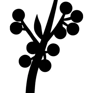Minimalist Black Berry Branch Silhouette