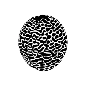 Abstract Organic Sphere - Black & White Vector