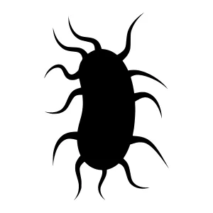 Black Bug Silhouette Vector Icon