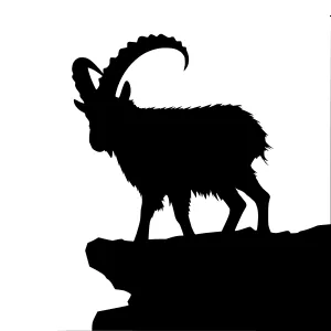 Silhouette Ibex on Rocky Cliff
