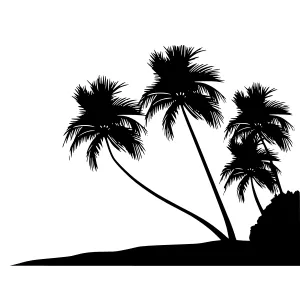 Palm Tree Silhouette Tropical Landscape