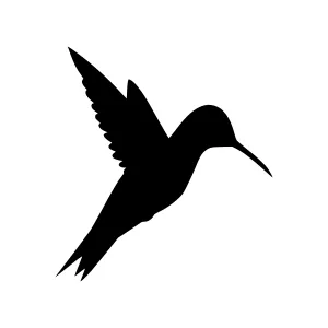 Silhouette Hummingbird - Vector Graphic