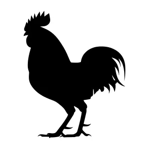Black Rooster Silhouette Vector Illustration