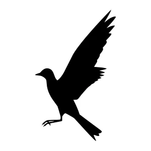 Silhouette Bird Flying - Vector Graphic