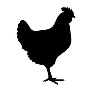 Black Chicken Silhouette Vector Illustration