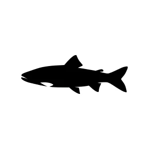 Shark Silhouette Vector Icon