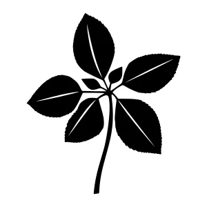 Black Silhouette Leaf Icon - Minimalist Plant Vector