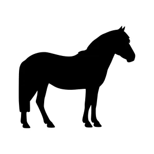Black Horse Silhouette Vector Graphic