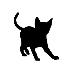 Black Cat Silhouette Vector Illustration