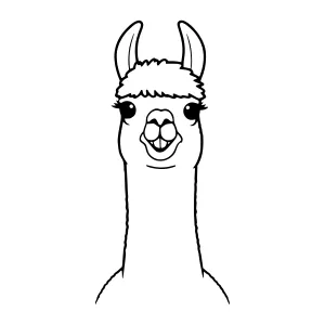 Cute Llama Line Art Illustration