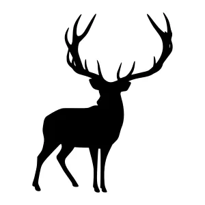 Silhouette Deer Head with Antlers - Black Outline