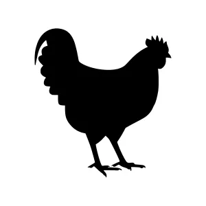 Black Rooster Silhouette Vector Illustration