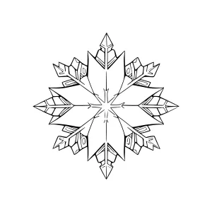 Black and White Snowflake Graphic
