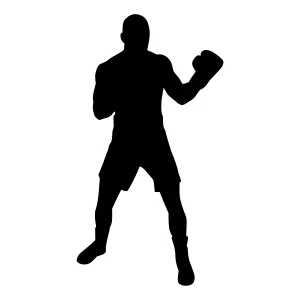 Silhouette Boxer Boxing Pose