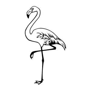 Black and White Flamingo Illustration