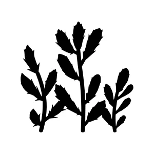 Black Silhouette Floral Branches - Minimalist Design