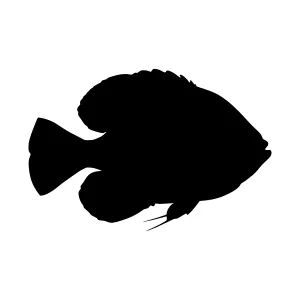 Black Fish Silhouette Vector Graphic