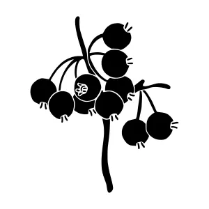Black Berry Branch Silhouette