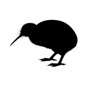 Kiwifruit Silhouette Vector Illustration