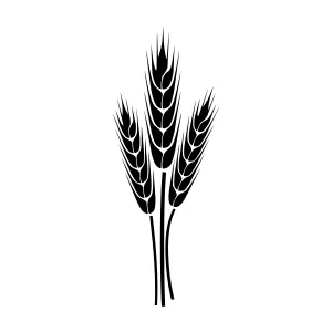 Wheat Stalks Silhouette Vector Illustration