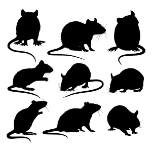 Black Mouse Silhouettes - Set of Nine