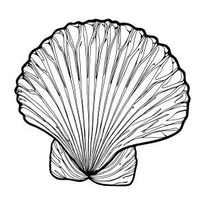 Detailed Seashell Illustration - Line Art