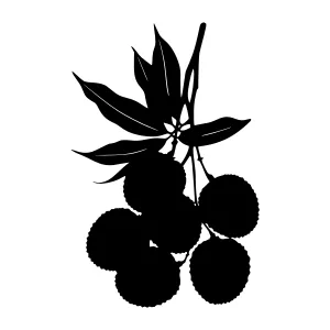 Black Berry Silhouette on White Background