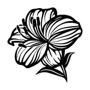 Black Flower Silhouette Vector Illustration