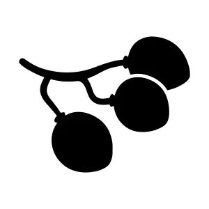 Black Grape Cluster Silhouette Icon