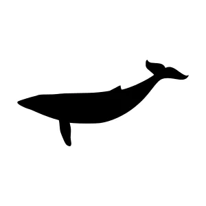 Silhouette Whale Vector Graphic