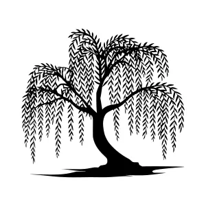 Silhouette Weeping Willow Tree